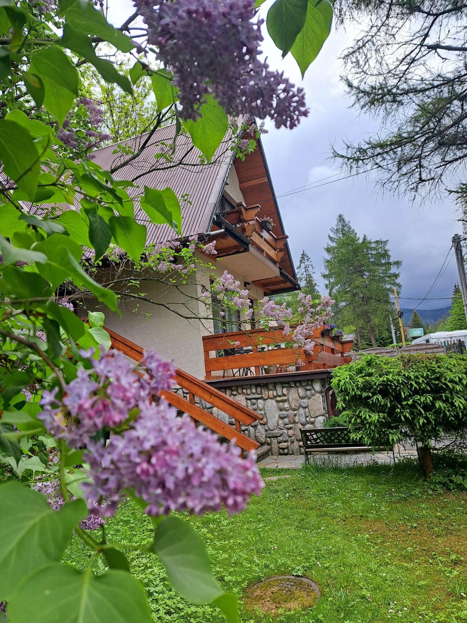 Pokoje Goscinne U Wandy Zakopane Exterior photo